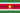 Флаг Суринама.png